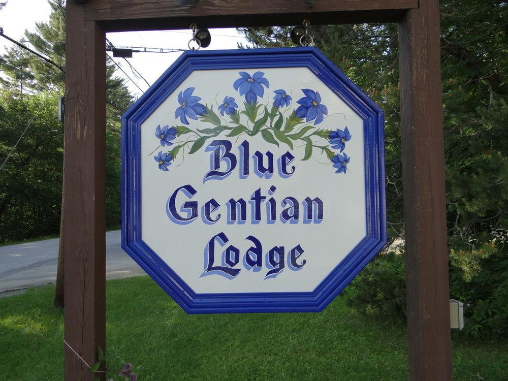 Blue Gentian Lodge At Magic Mountain Londonderry Exterior foto
