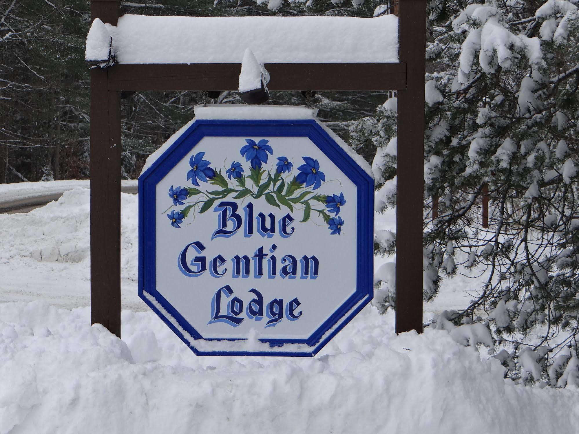 Blue Gentian Lodge At Magic Mountain Londonderry Exterior foto